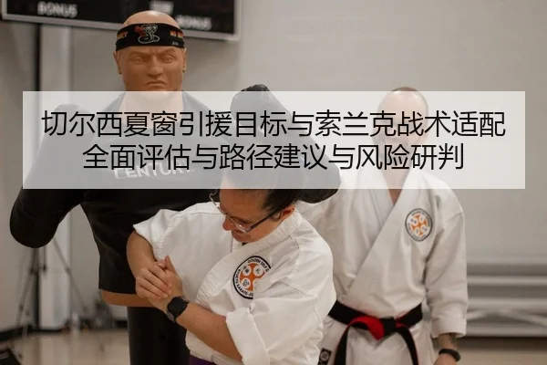 切尔西夏窗引援目标与索兰克战术适配全面评估与路径建议与风险研判